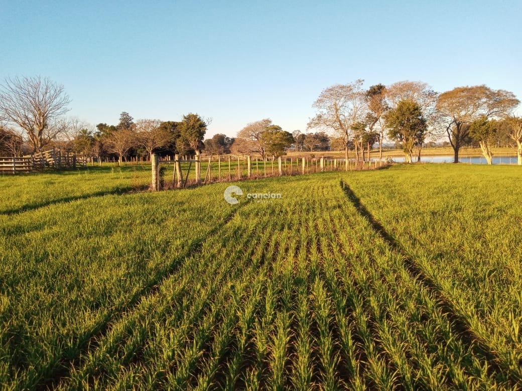 Área Rural à venda no Boca do Monte: 