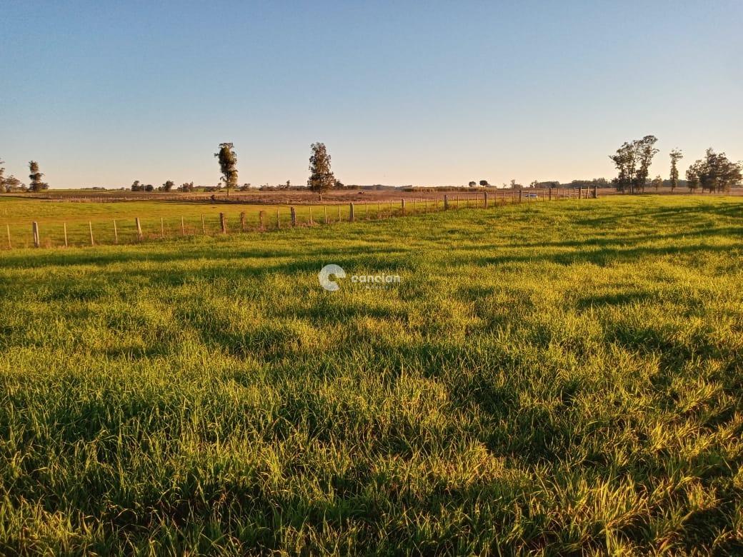 Área Rural à venda no Boca do Monte: 