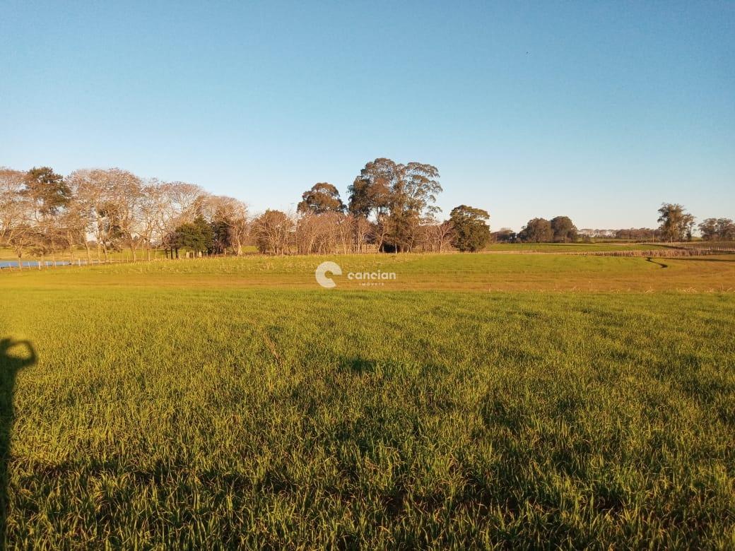 Área Rural à venda no Boca do Monte: 