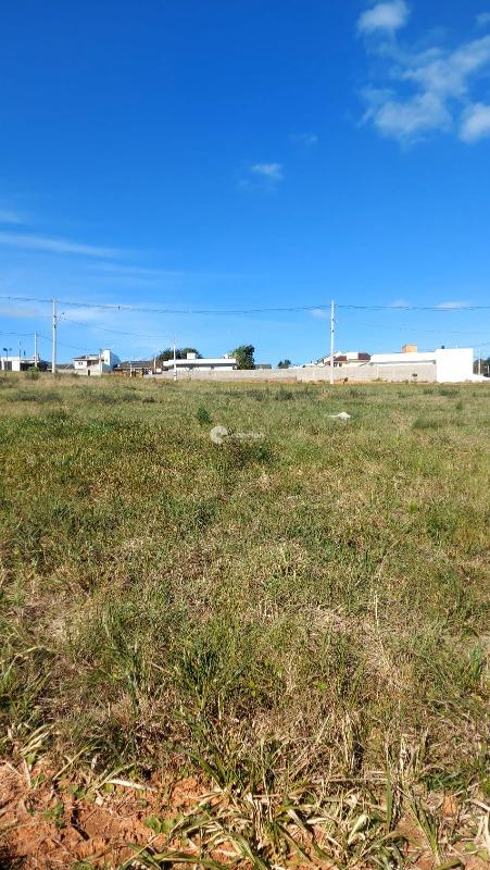 Terreno à venda no Pinheiro Machado: 