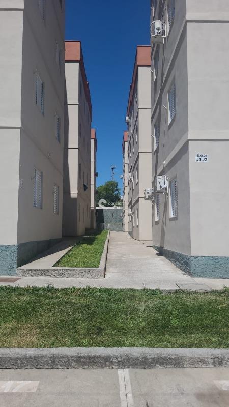 Apartamento para aluguel no Caturrita: 