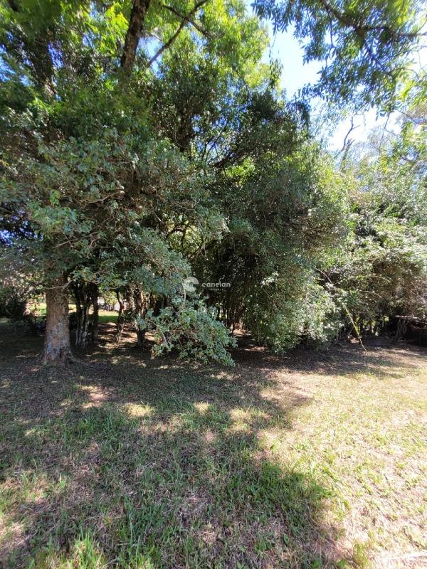 Casa para aluguel no Parque Serrano II: 