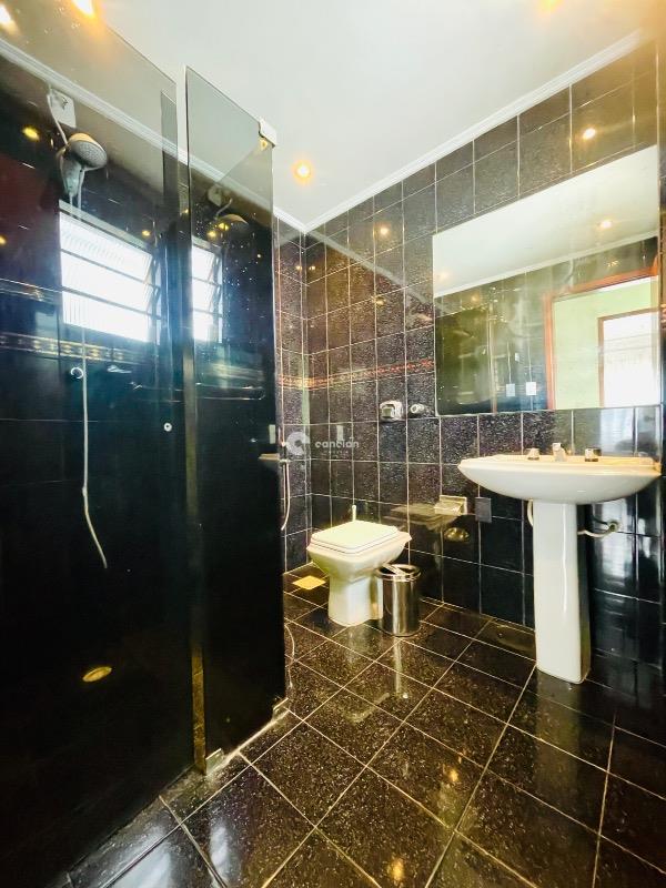 Apartamento para aluguel no Patronato: 