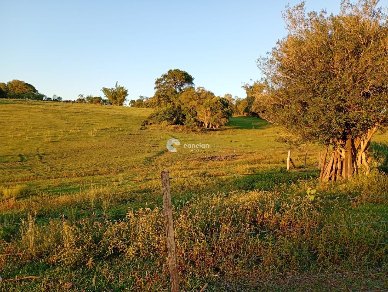 Chácara à venda no Interior : 
