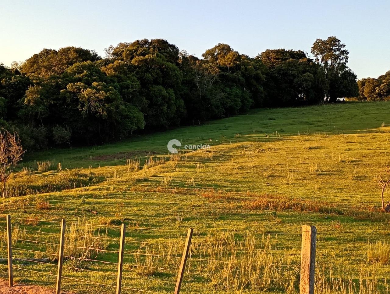 Chácara à venda no Interior : 