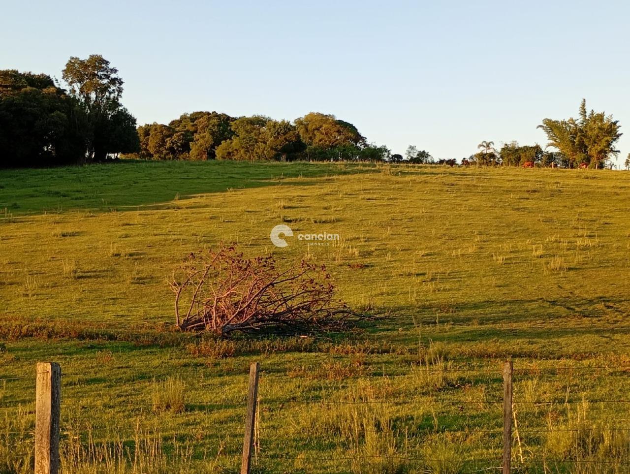 Chácara à venda no Interior : 