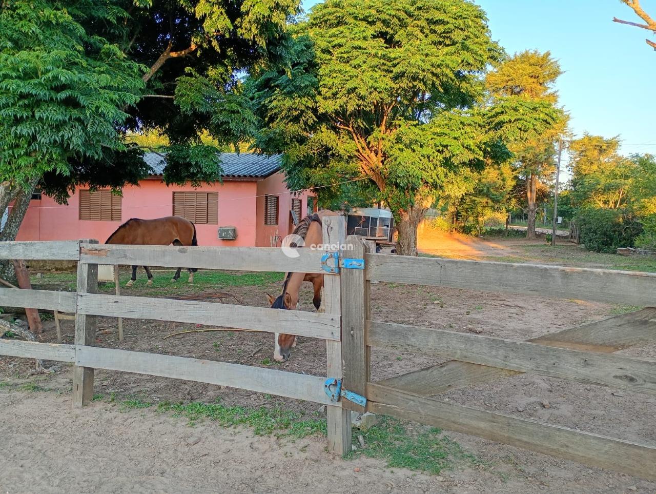 Chácara à venda no Interior : 