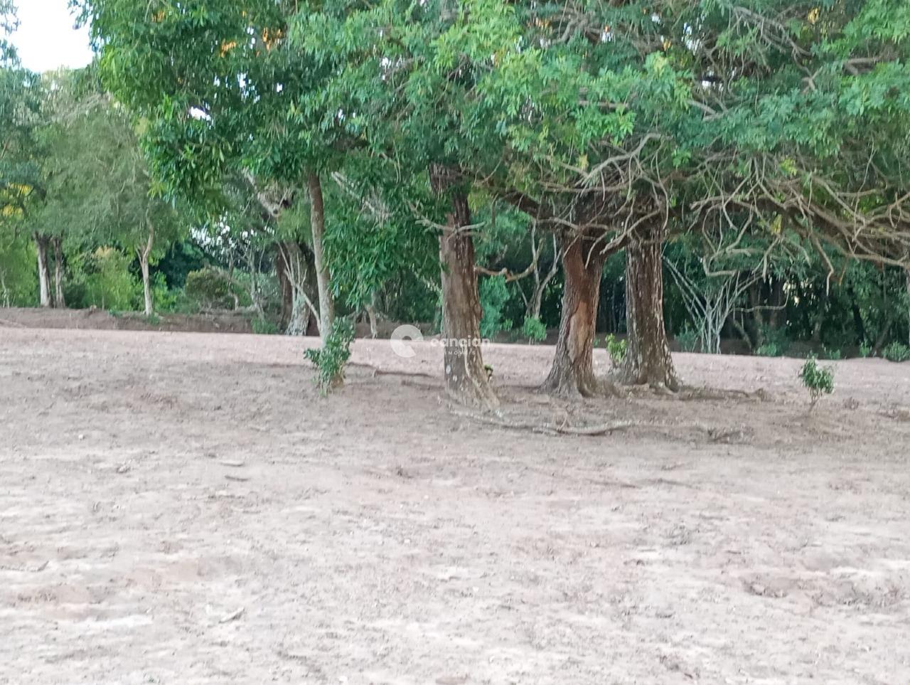 Chácara à venda no Interior : 