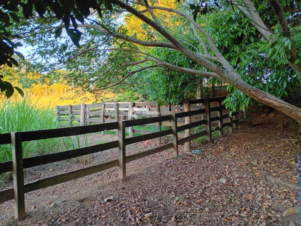 Chácara à venda no Interior : 