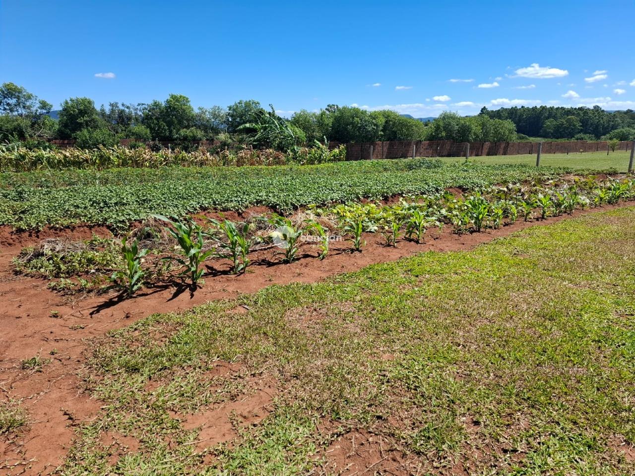 Terreno à venda no Zona rural: 
