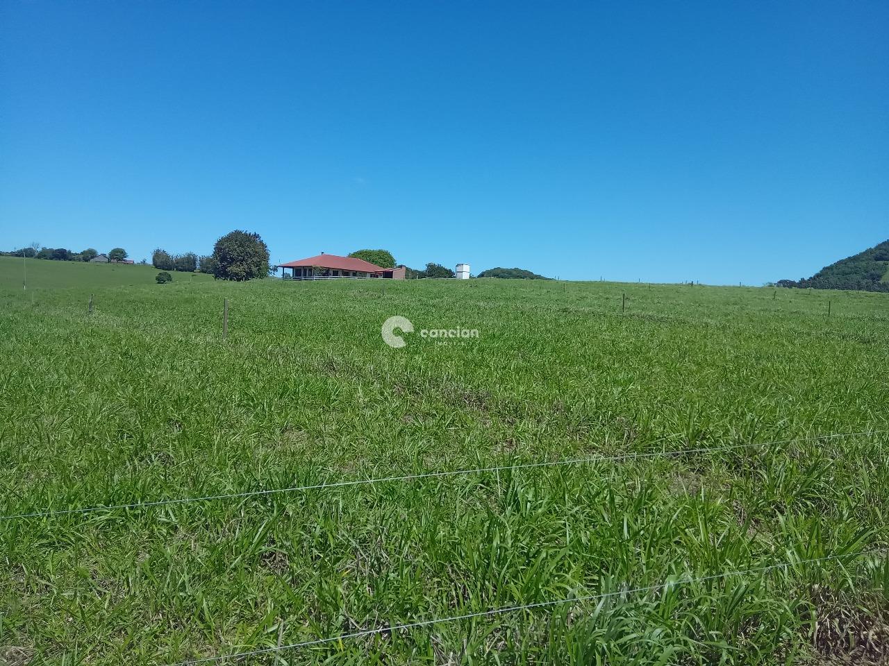 Chácara à venda no Zona Rural: 