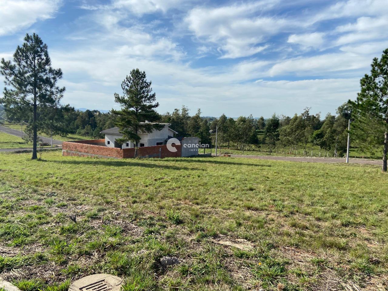 Terreno à venda no Tomazetti: 