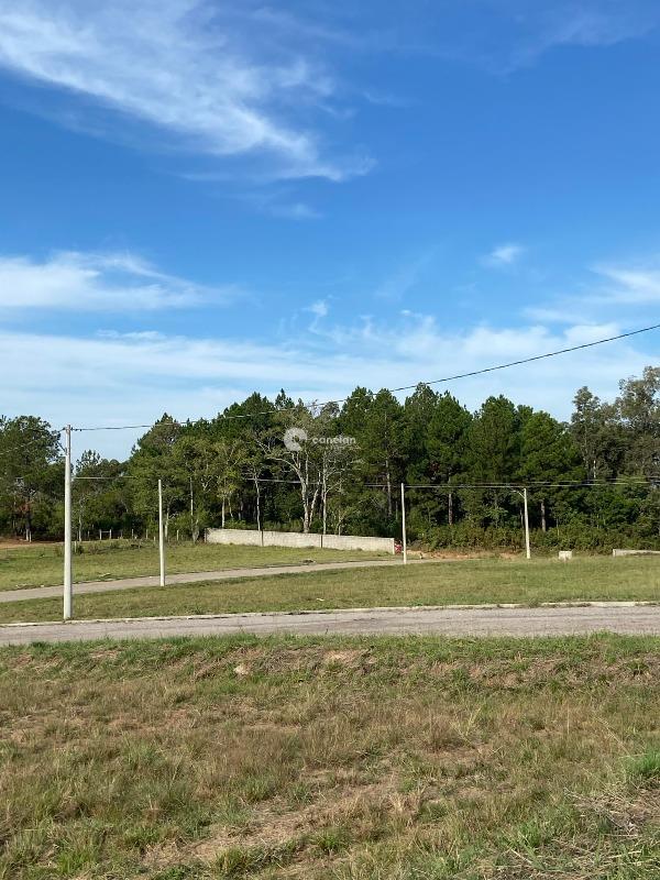 Terreno à venda no Tomazetti: 