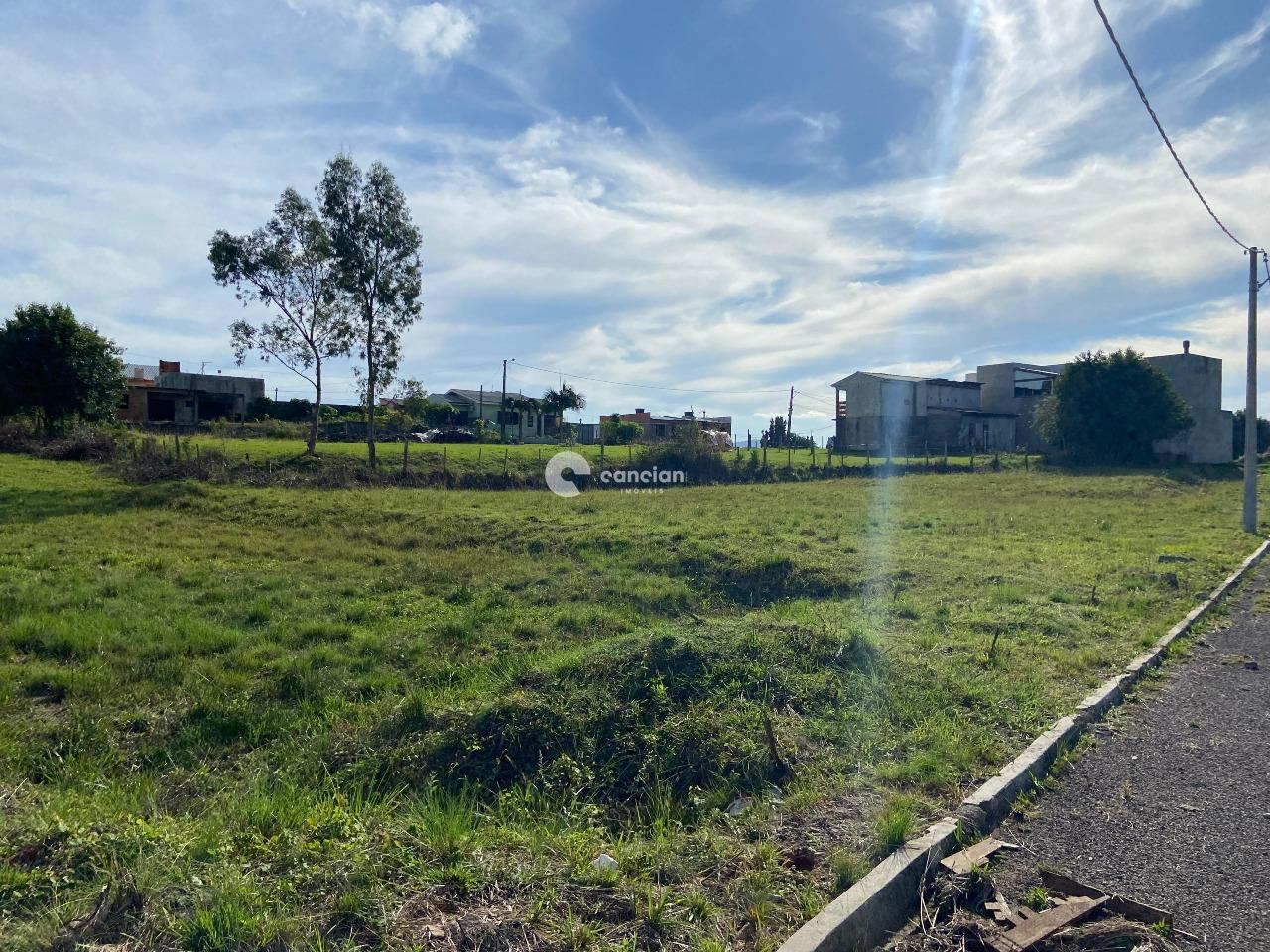 Terreno à venda no Tomazetti: 