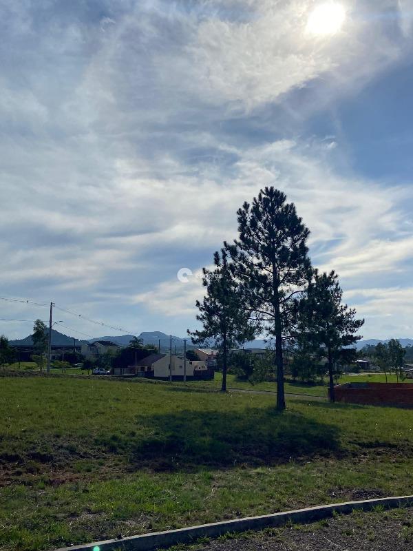 Terreno à venda no Tomazetti: 