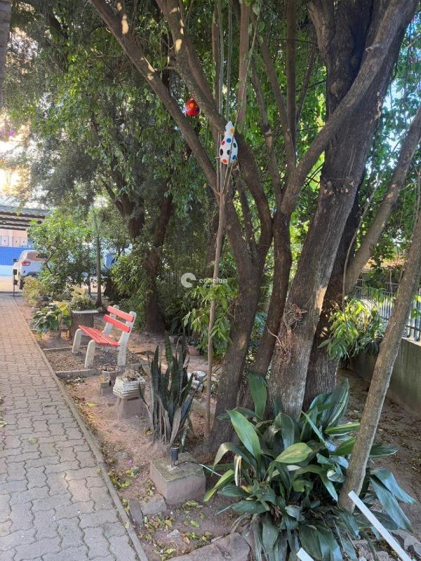 Apartamento à venda no Nossa Senhora de Fátima: 