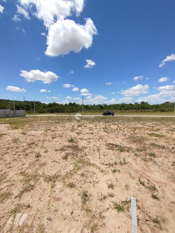 Terreno à venda no Camobi: 