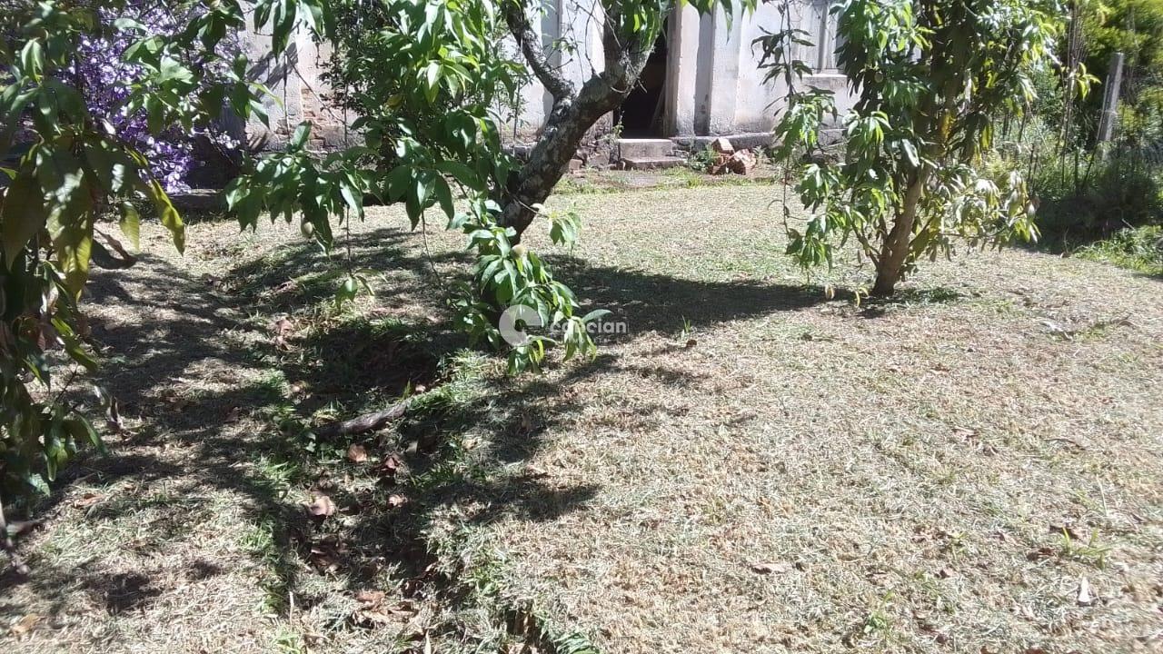 Chácara à venda no Palma: 