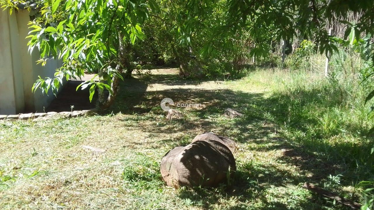 Chácara à venda no Palma: 