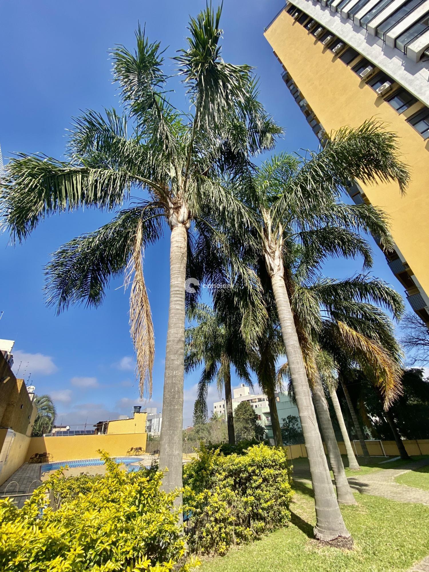 Apartamento para aluguel no Bonfim: 