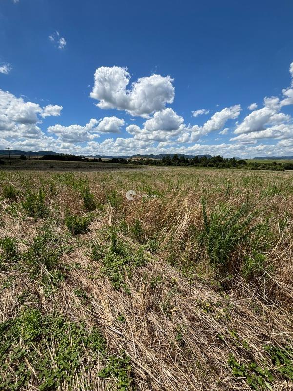 Área Rural à venda no Palma: 