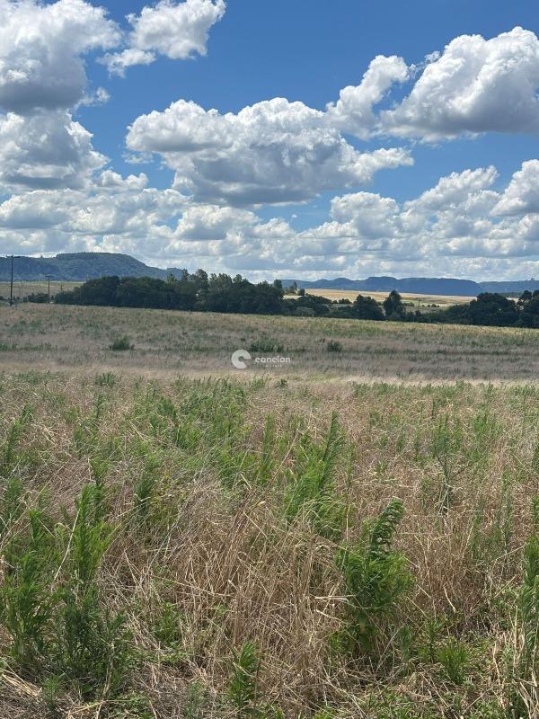Área Rural à venda no Palma: 