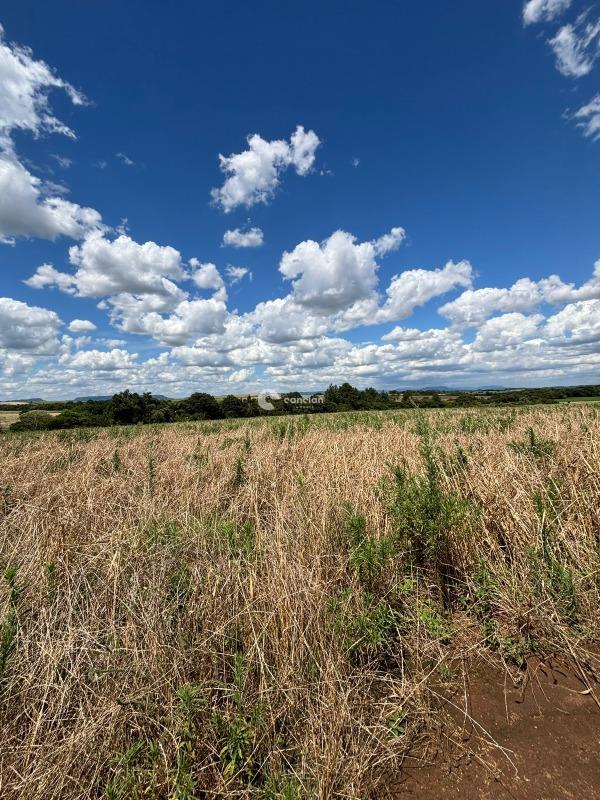 Área Rural à venda no Palma: 