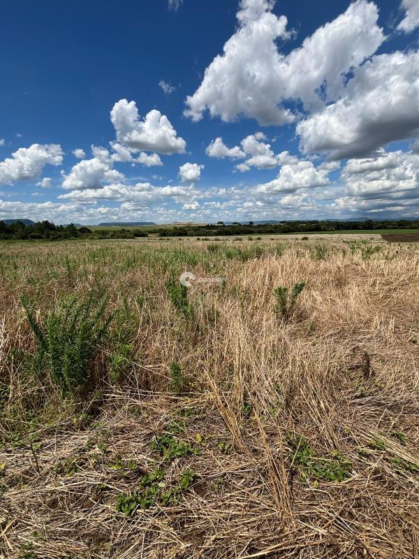 Área Rural à venda no Palma: 