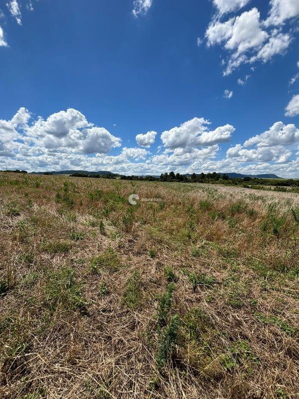 Área Rural à venda no Palma: 