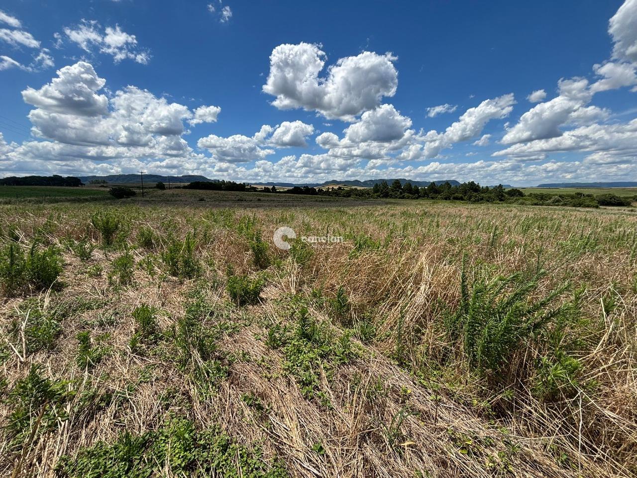 Área Rural à venda no Palma: 