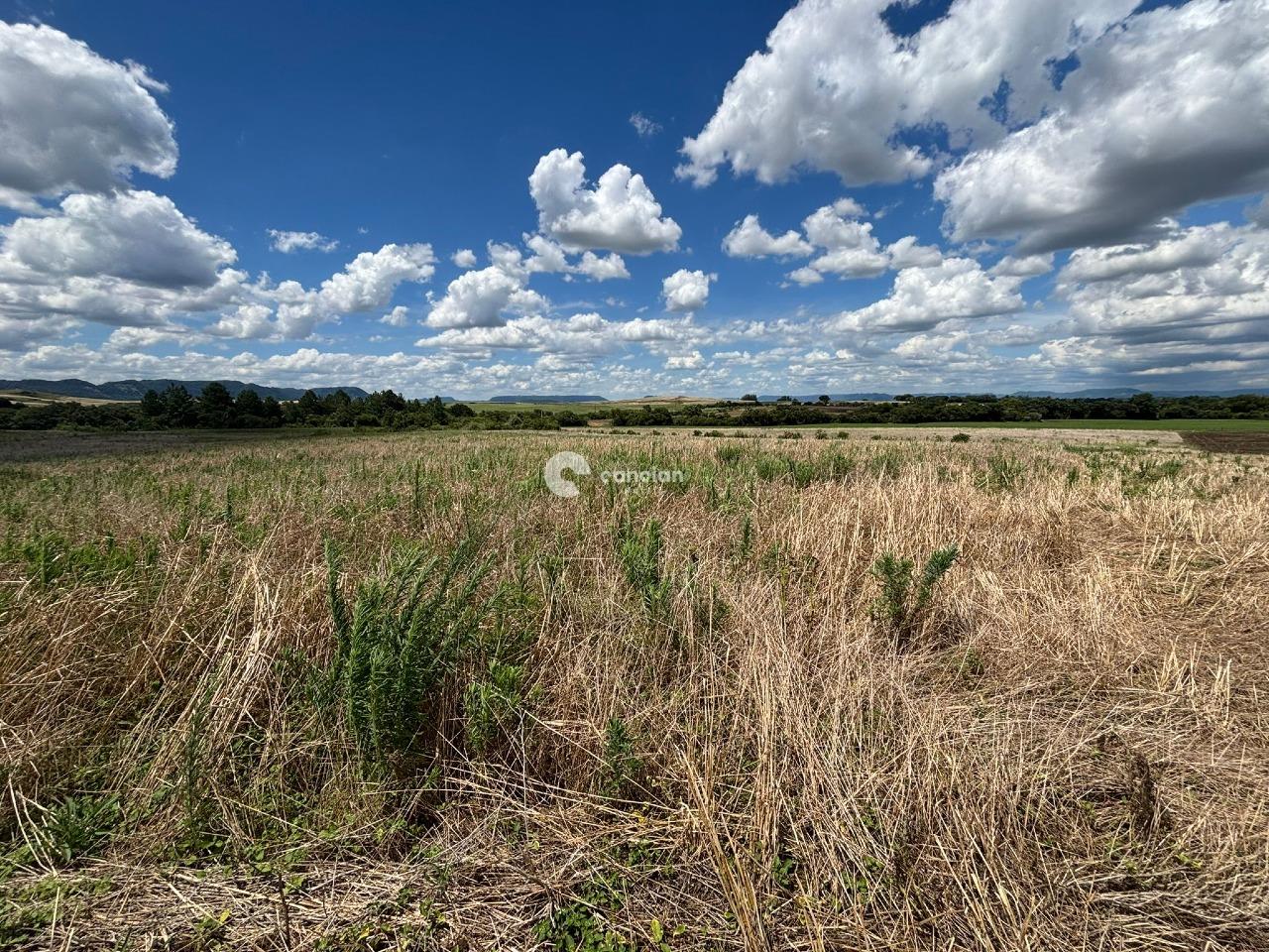 Área Rural à venda no Palma: 