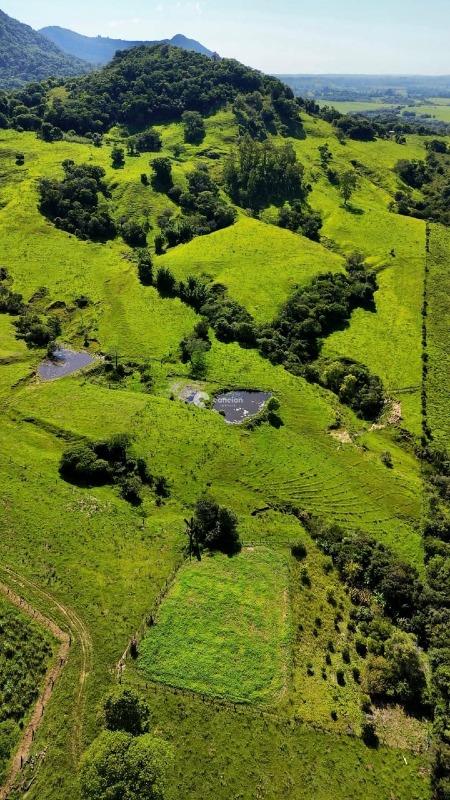 Chácara à venda no Palma: 