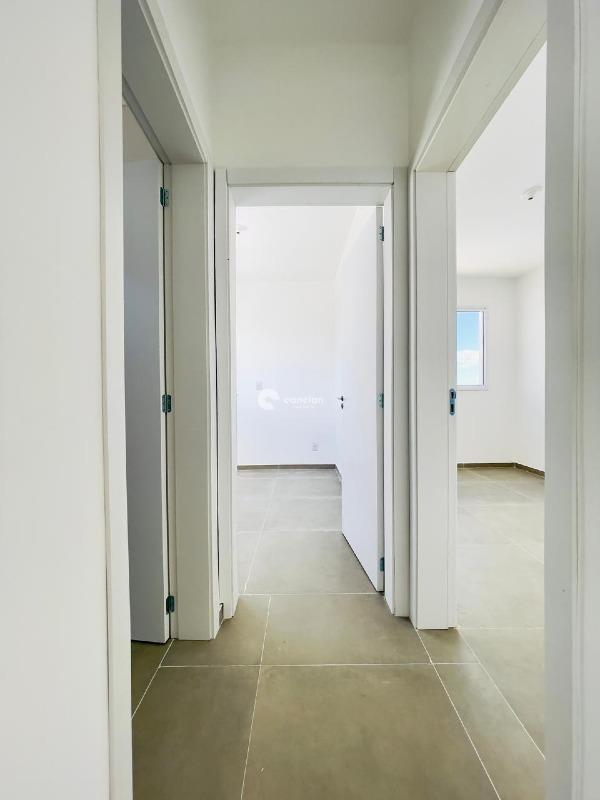 Apartamento para aluguel no Camobi: 