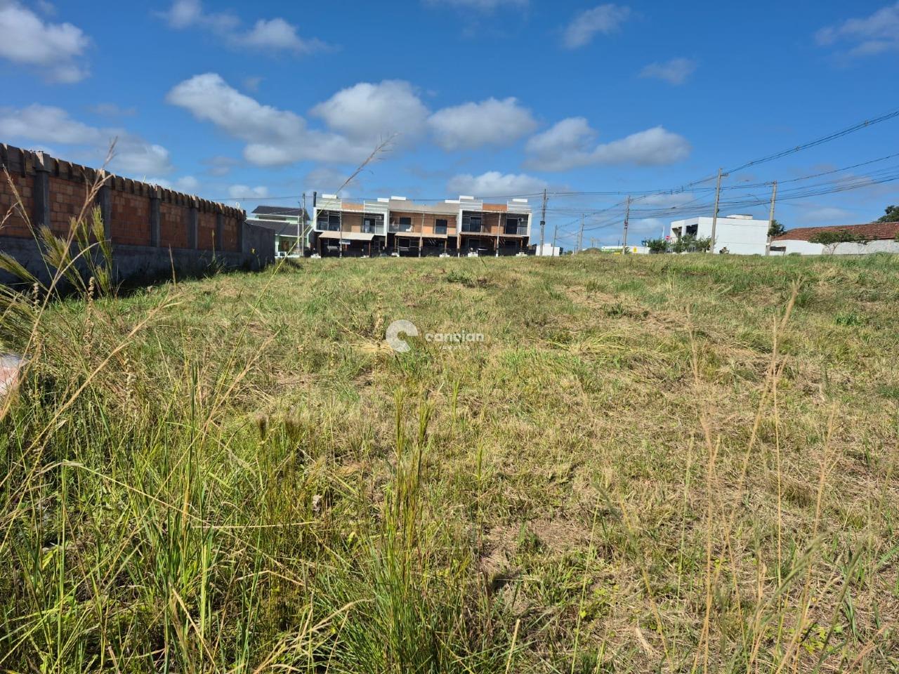 Terreno à venda no Pinheiro Machado: 
