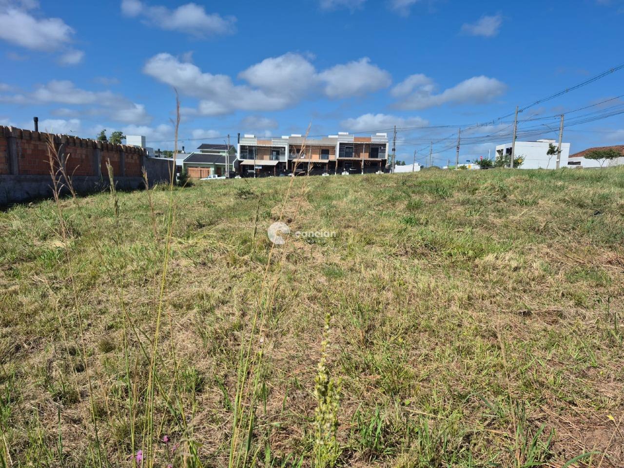 Terreno à venda no Pinheiro Machado: 