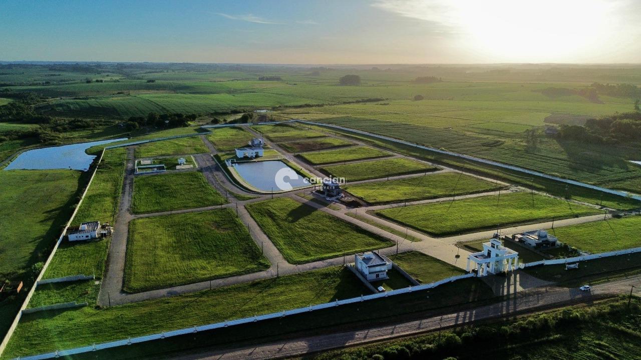 Terreno à venda no Camobi: 