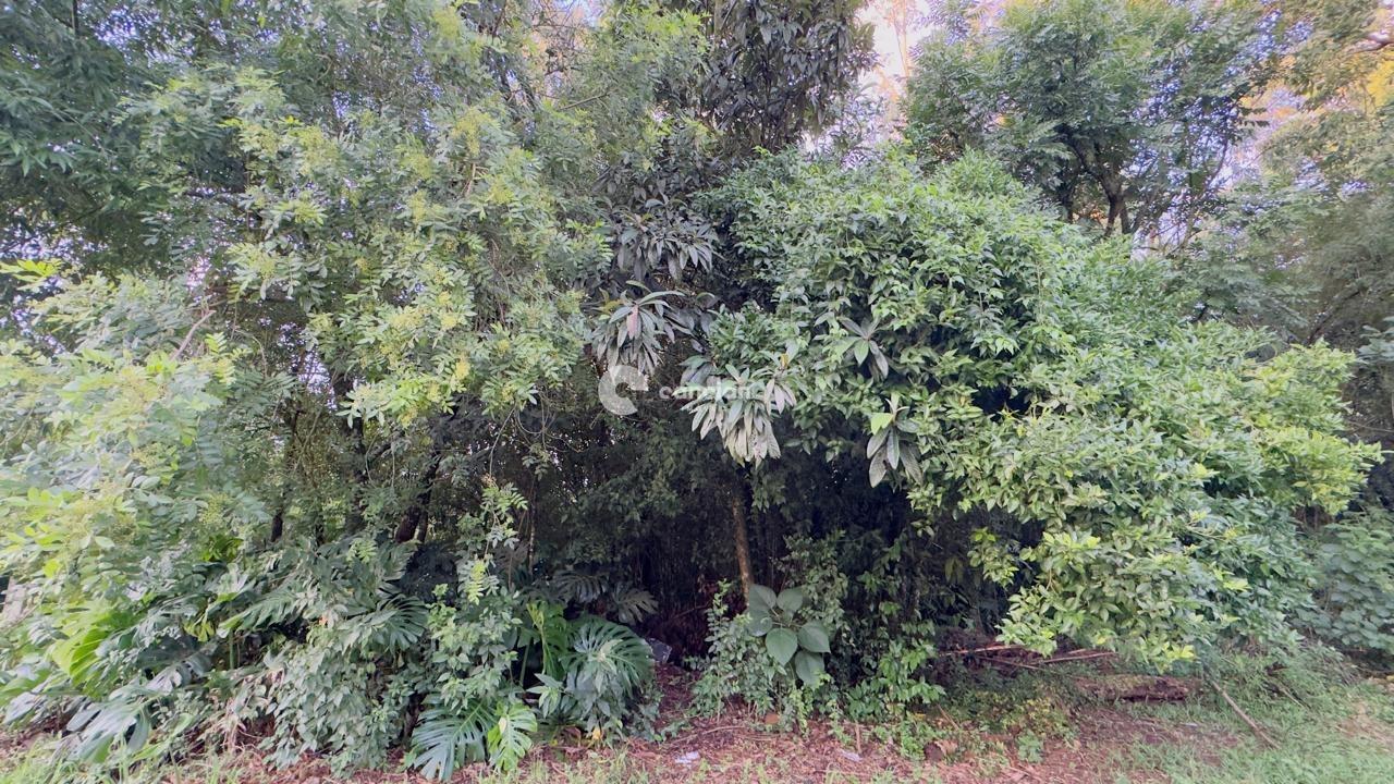 Terreno à venda no Cidade Oásis: 