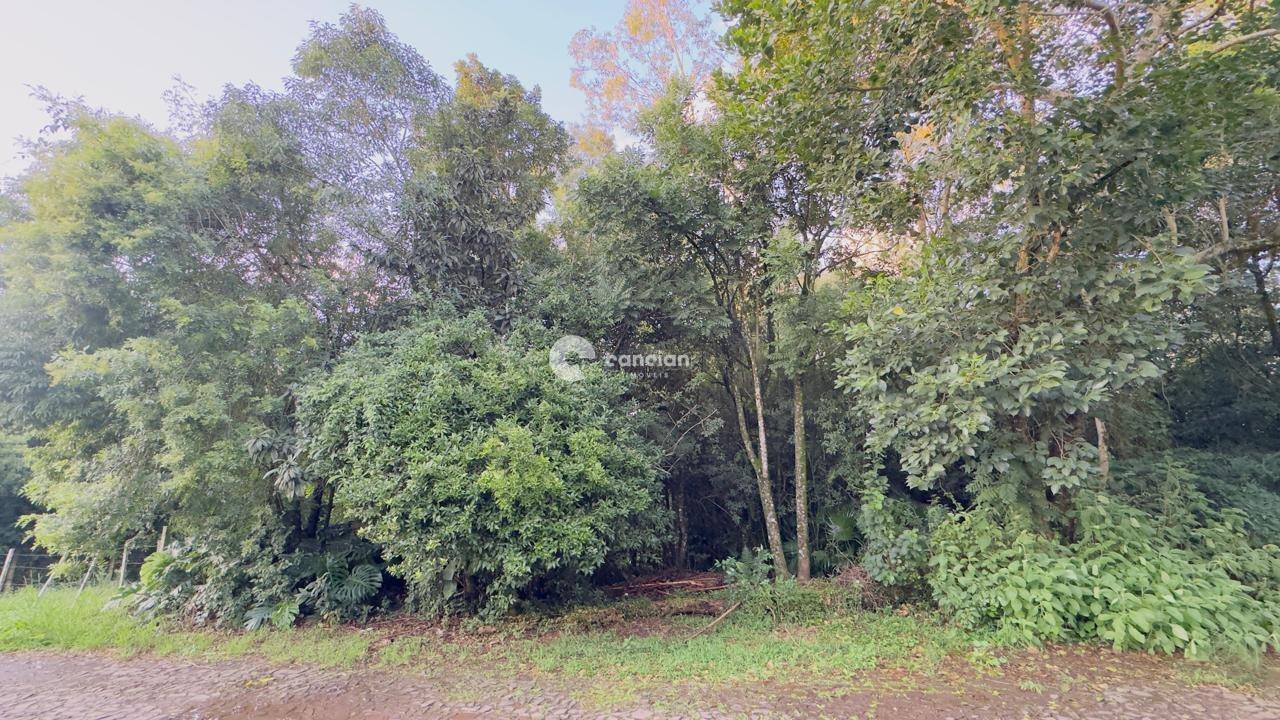 Terreno à venda no Cidade Oásis: 