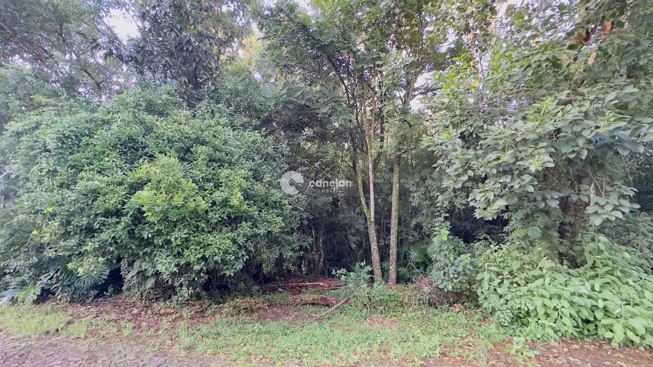 Terreno à venda no Cidade Oásis: 