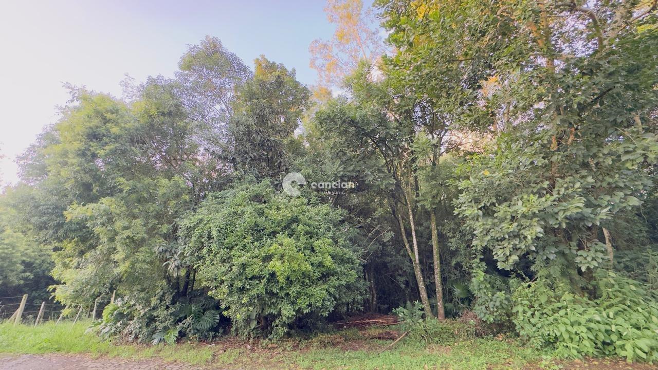 Terreno à venda no Cidade Oásis: 