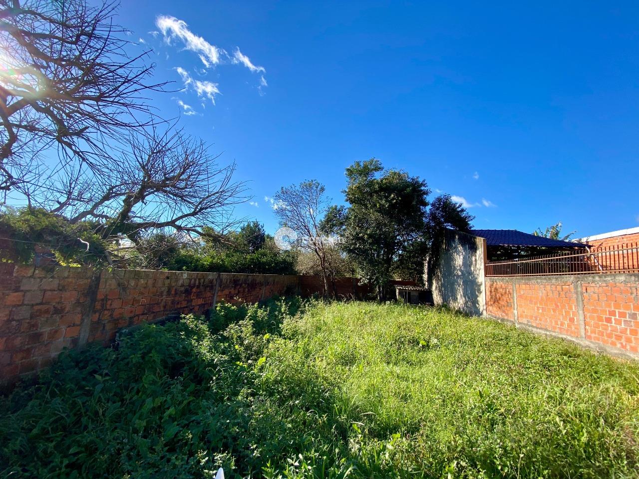 Casa à venda no Pinheiro Machado: 
