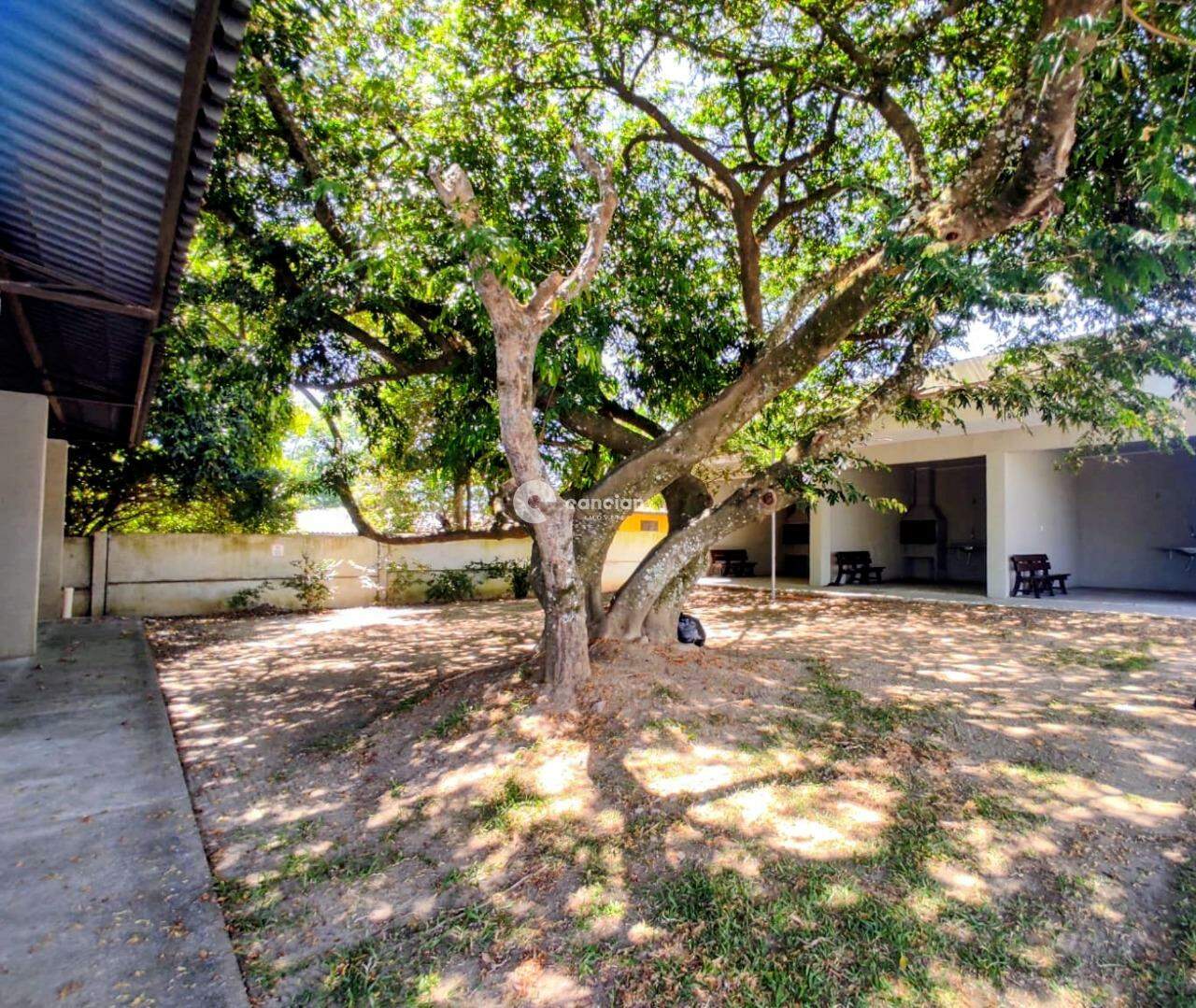 Apartamento à venda no Patronato: 