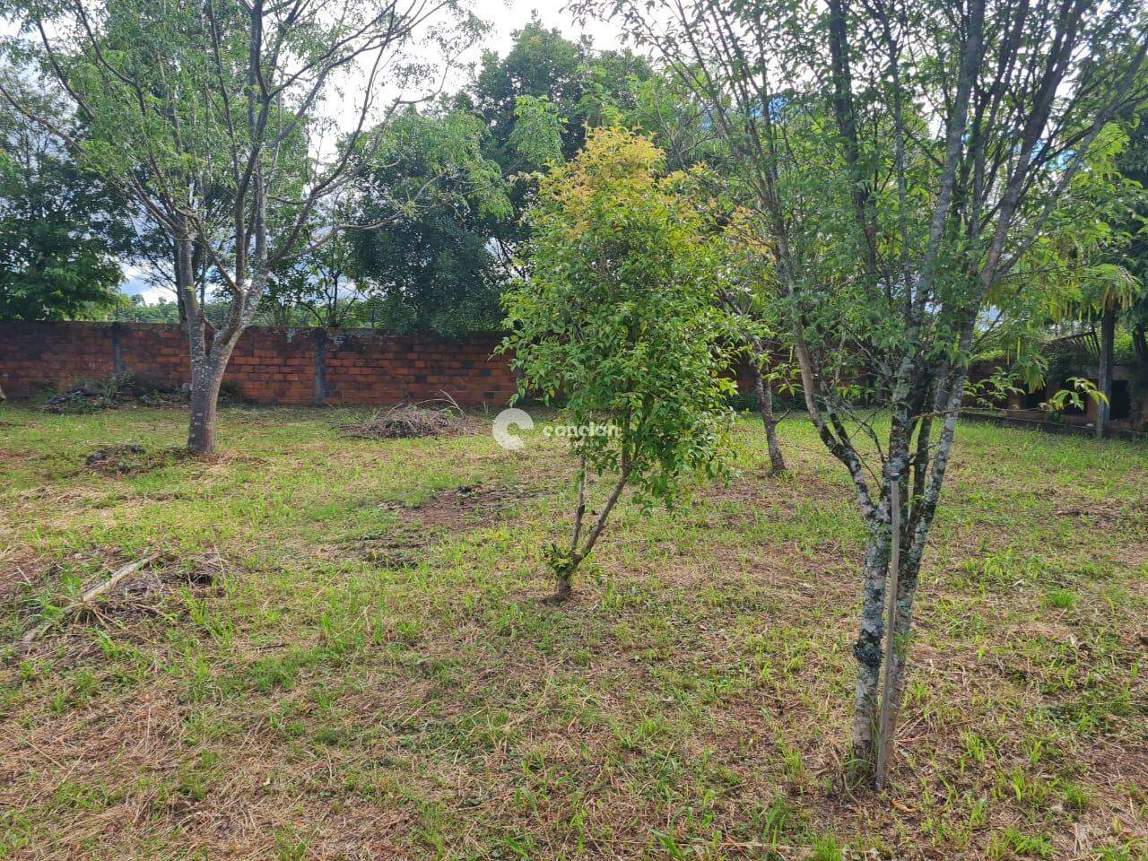 Terreno à venda no Itaara: 