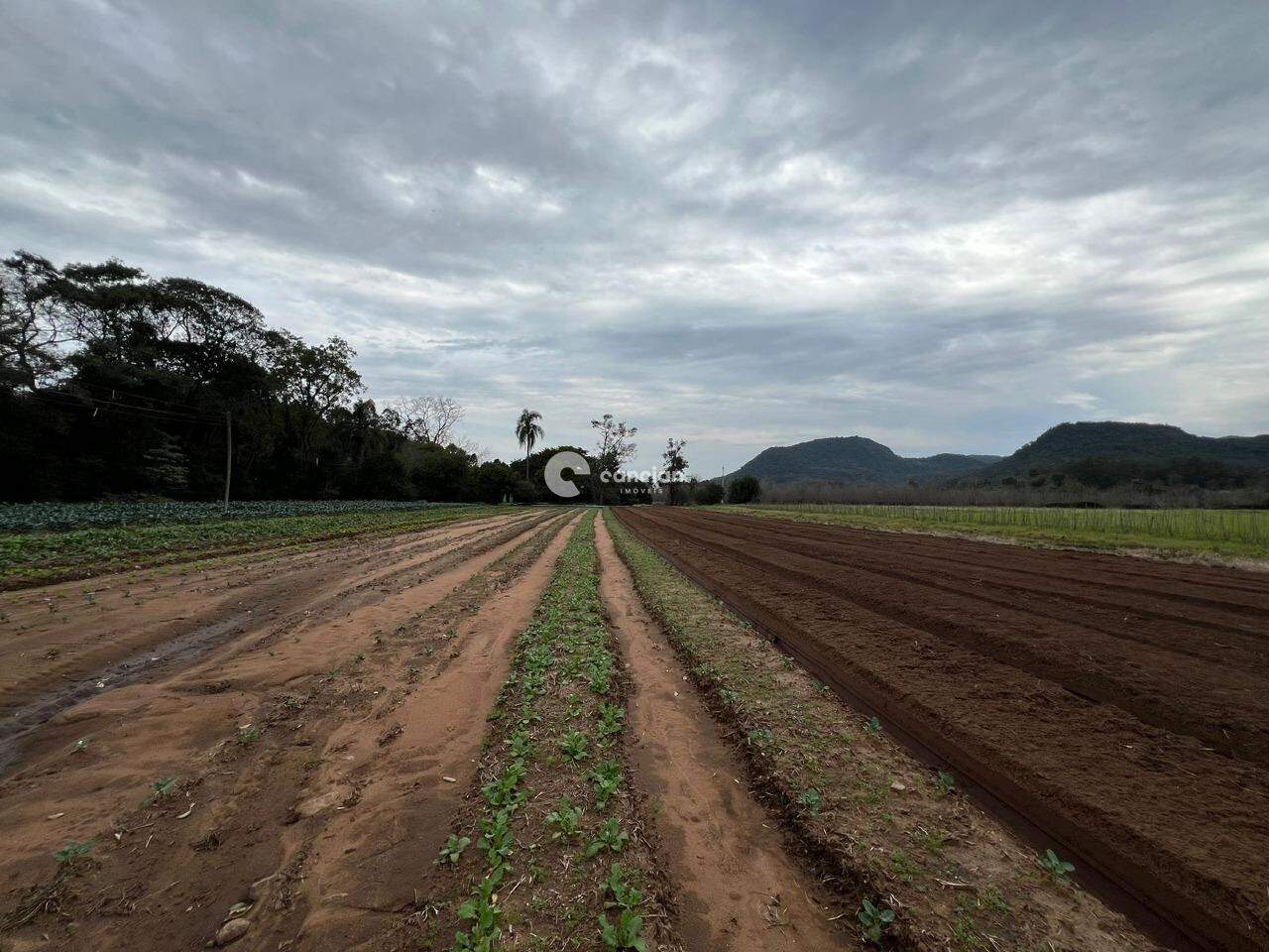 Área Rural à venda no Arroio Grande: 