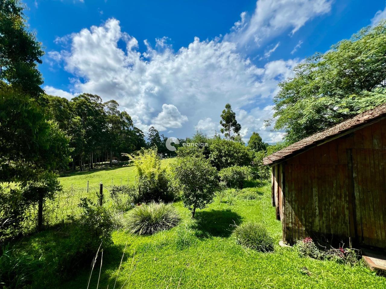 Casa à venda no Novo Pinhal: 