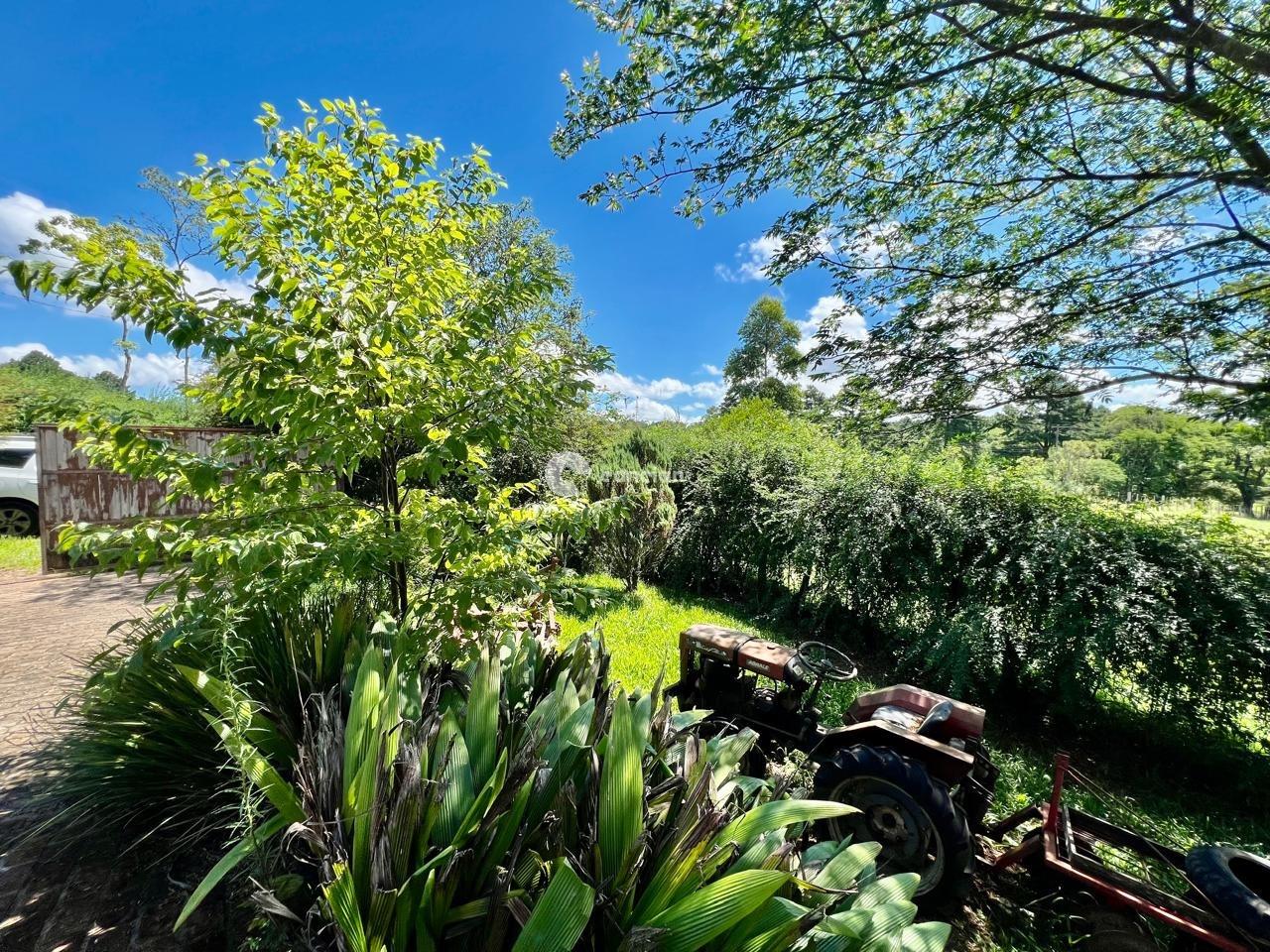 Casa à venda no Novo Pinhal: 