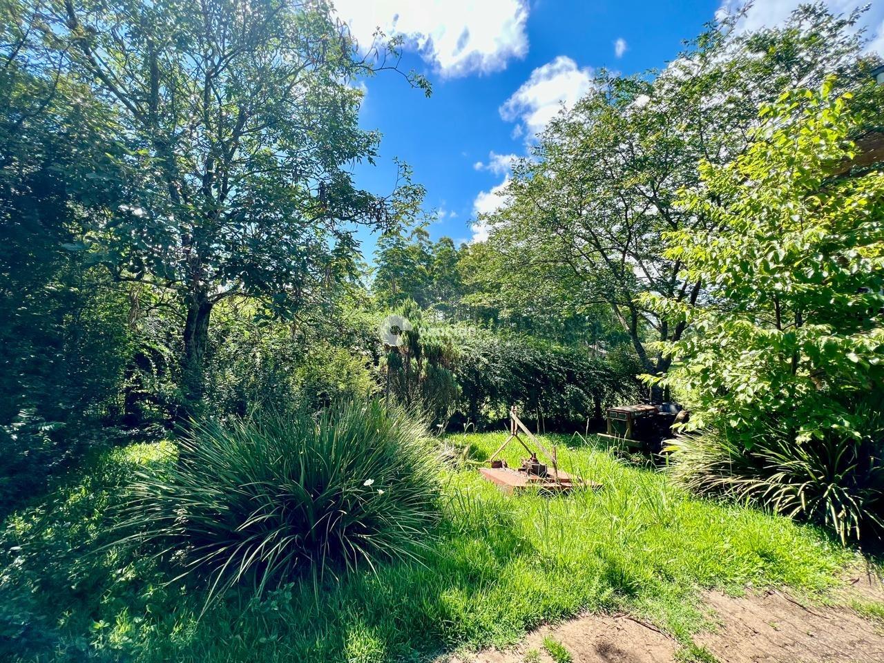 Casa à venda no Novo Pinhal: 