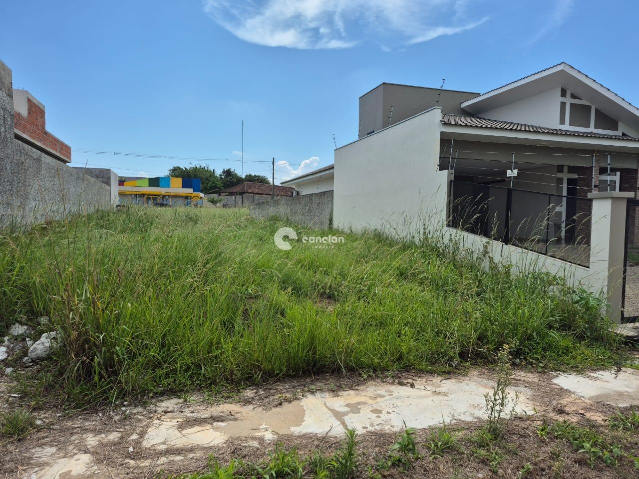 Terreno à venda no Pinheiro Machado: 