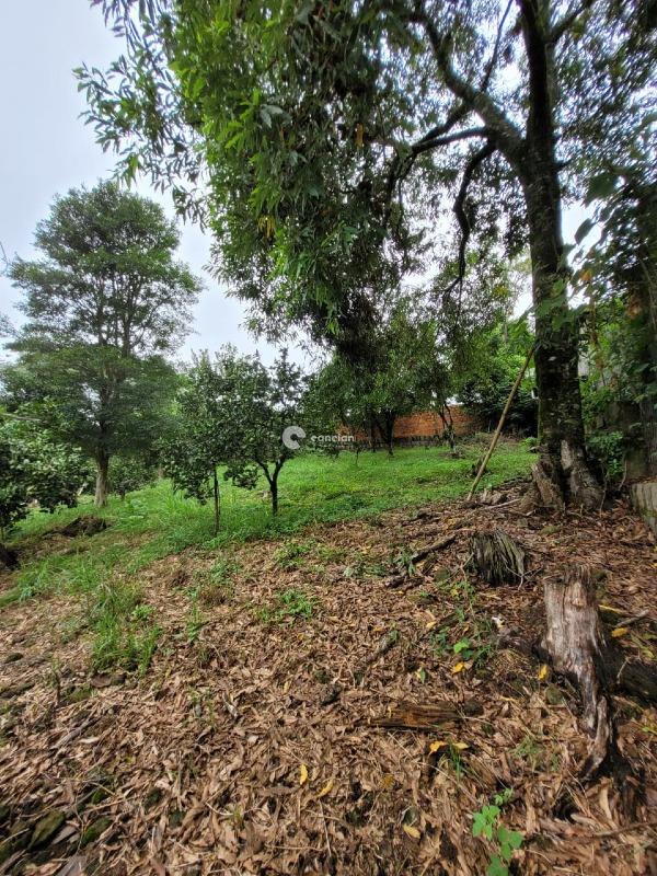 Casa para aluguel no Oásis: 