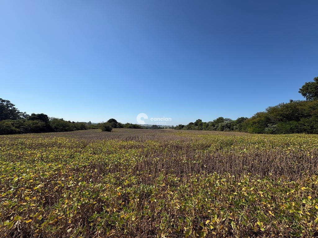 Área Rural à venda no Rural: 